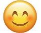 A yellow smiley face with a smile

Description automatically generated