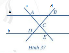 Bài 3 trang 83 Toán 6 Tập 2 Cánh diều | Giải Toán lớp 6