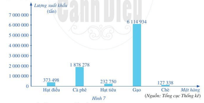 Bài 6 trang 9 Toán 6 Tập 2 Cánh diều | Giải Toán lớp 6