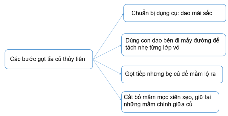 A diagram of a person's mind

Description automatically generated with medium confidence