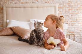 A child kissing a cat on a bed

Description automatically generated