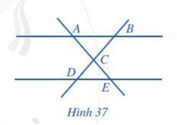 Bài 3 trang 83 Toán 6 Tập 2 Cánh diều | Giải Toán lớp 6