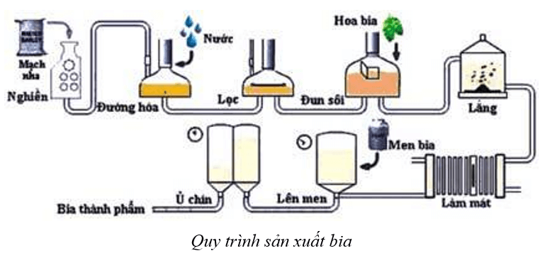 Sinh 10 Bài 23: Thực hành một số phương pháp nghiên cứu vi sinh vật thông dụng | Giải Sinh học 10 (ảnh 1)