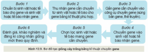 Giải bài 12 Một số phương pháp chọn, tạo giống cây trồng