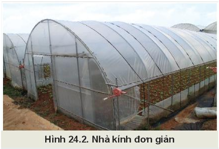 Giải bài 24 Một số công nghệ cao trong trồng trọt