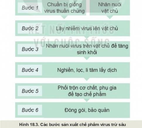 Giải bài 18 Ứng dụng công nghệ vi sinh trong phòng trừ sâu, bệnh hại cây trồng