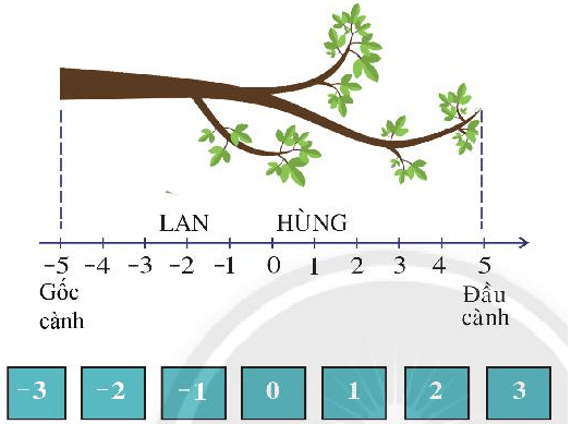 Hoạt động 2 trang 72 Toán 6 Tập 1 Chân trời sáng tạo | Giải Toán lớp 6