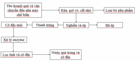 Giải bài Ôn tập Chủ đề 6 Kĩ thuật trồng trọt