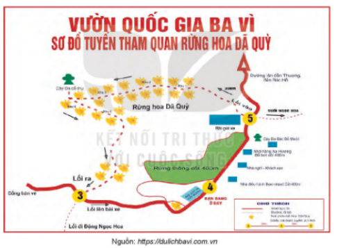 Soạn bài Thực hành tiếng việt Sử dụng phương tiện phi ngôn ngữ