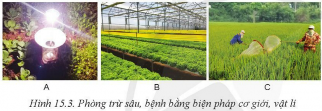 Giải bài 15 Biện pháp phòng trừ sâu, bệnh hại cây trồng