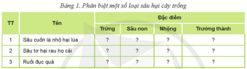 Giải bài Ôn tập Chủ đề 5 Phòng trừ sâu, bệnh hại cây trồng