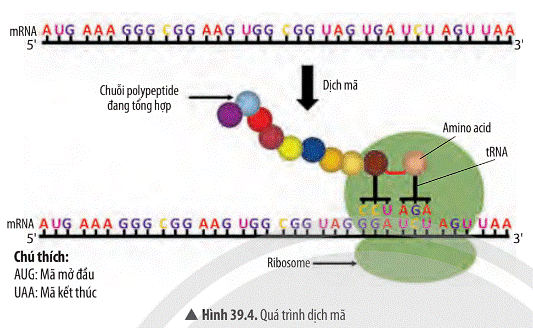 Ảnh có chứa văn bản, ảnh chụp màn hình, biểu đồ  Mô tả được tạo tự động