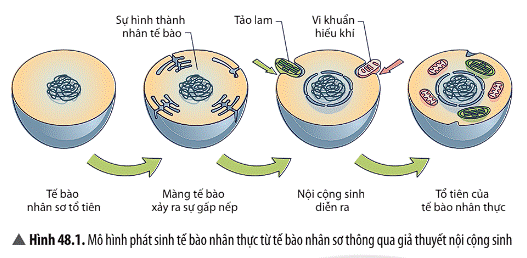 Ảnh có chứa trái cây, văn bản, thực phẩm  Mô tả được tạo tự động