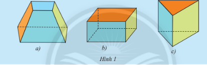 Giải bài 1 Hình hộp chữ nhât, hình lập phương