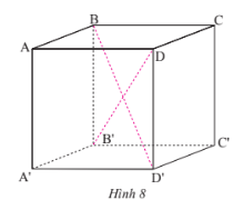 Giải bài 1 Hình hộp chữ nhât, hình lập phương