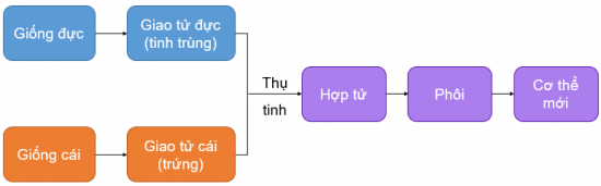 Ảnh có chứa văn bản, ảnh chụp màn hình, Phông chữ, số

Mô tả được tạo tự động