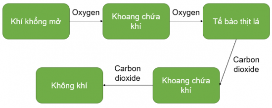 Ảnh có chứa văn bản, ảnh chụp màn hình, Phông chữ, hàng

Mô tả được tạo tự động