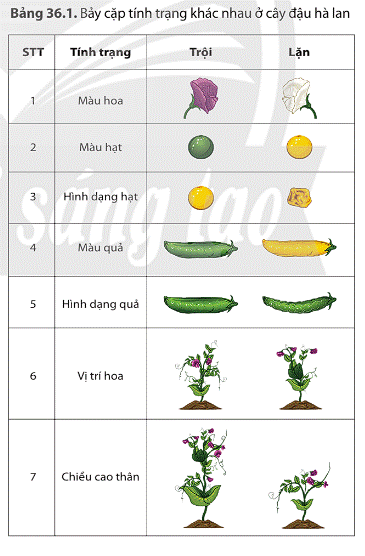 Ảnh có chứa văn bản, ảnh chụp màn hình  Mô tả được tạo tự động