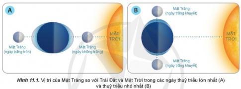 Giải bài 11 Nước biển và đại dương