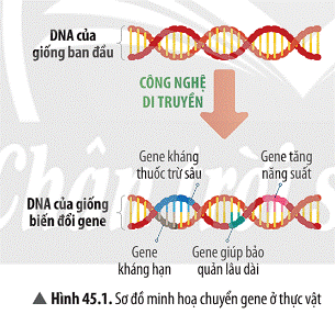 Ảnh có chứa văn bản, ảnh chụp màn hình, Phông chữ, biểu tượng  Mô tả được tạo tự động