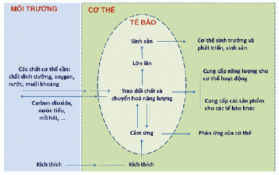 Ảnh có chứa văn bản, biểu đồ, ảnh chụp màn hình, Phông chữ

Mô tả được tạo tự động