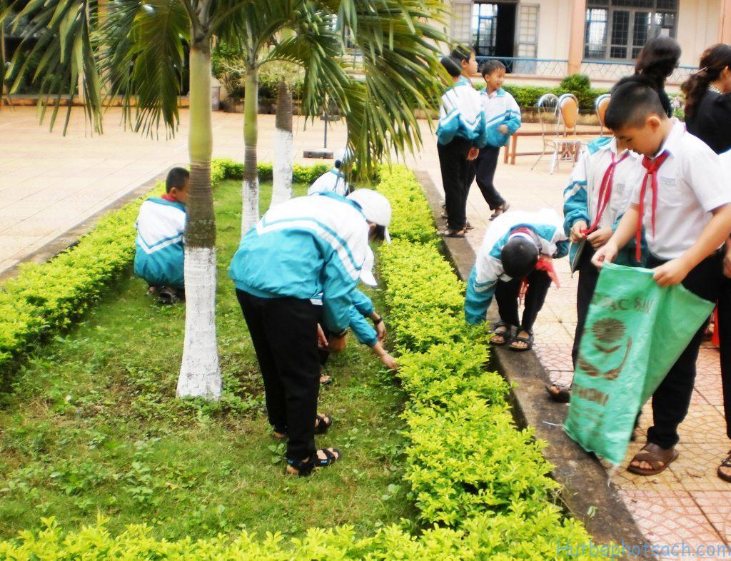 Là Học Sinh Em Cần Làm Gì Để Bảo Vệ Môi Trường và Tài Nguyên Thiên Nhiên