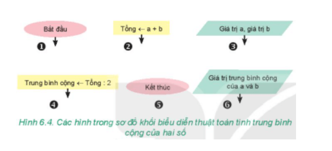 Em hãy sắp xếp các phần được đánh số trong Hình 6.4 để được thuật toán tính trung bình