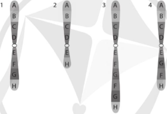 A diagram of a number of objects

Description automatically generated with medium confidence