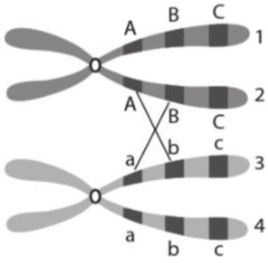 A diagram of a number of objects

Description automatically generated