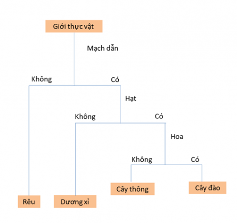 Ảnh có chứa văn bản, ảnh chụp màn hình, Phông chữ, biểu đồ

Mô tả được tạo tự động