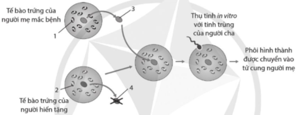 A diagram of a diagram of a circular object

Description automatically generated