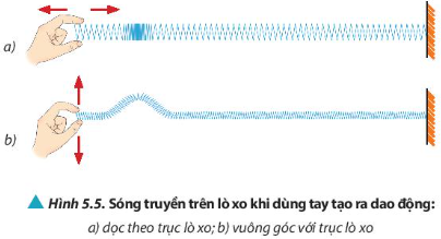 Quan sát Hình 5.5, hãy so sánh phương truyền sóng và phương dao động của từng điểm trên lò xo trong hai trường hợp.