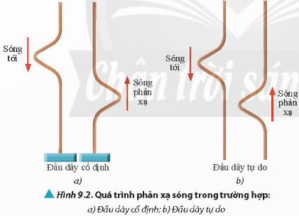 Quan sát Hình 9.2 và nhận xét chiều biến dạng của dây khi có sóng tới và sóng p