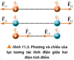 Các cặp lực $\vec{F_{12}}$ và $\vec{F_{21}}$ trong Hình 11.5 có phải là các cặp lực cân bằng không? Vì sao?