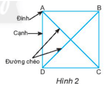 Thực hành 1 trang 75 Toán 6 Tập 1 Chân trời sáng tạo | Giải Toán lớp 6