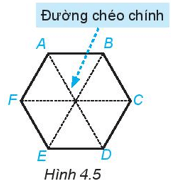 Hoạt động 6 trang 80 Toán 6 Tập 1 | Kết nối tri thức Giải Toán lớp 6