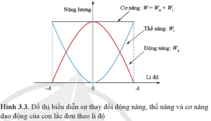 Dựa vào đồ thị Hình 3.3, mô tả sự thay đổi của động năng và thế năng của con lắc đơn khi vật đi từ vị trí biên về vị trí cân bằng và từ vị trí cân bằng đến vị trí biên.