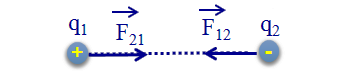 Hãy biểu diễn bằng hình vẽ lực tương tác giữa hai điện tích trái dấu nhau.