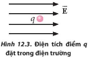 Trong một vùng không gian có điện trường mà các đường sức điện trường có phương nằm ngang, song song với nhau và chiều như Hình 12.3. Hãy xác định hưởng của lực điện trường