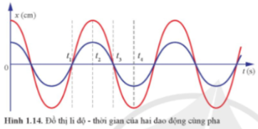 Mô tả trạng thái của hai vật dao động ở thời điểm t3 và t4 trong  thị Hình 1.14.