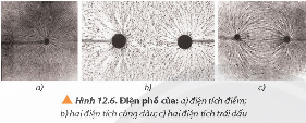 Dựa vào hình ảnh điện phổ quan sát được ở Hình 12.6, ta có thể kết luận được d