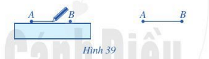 Hoạt động 1 trang 84 Toán 6 Tập 2 Cánh diều | Giải Toán lớp 6