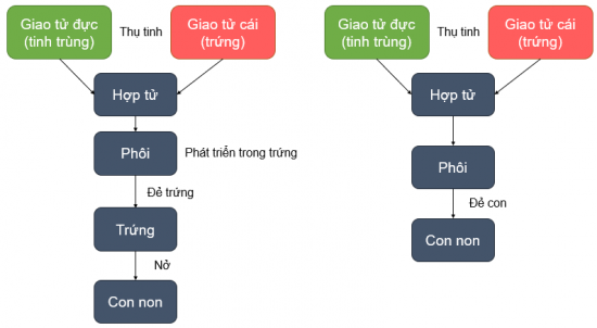 Ảnh có chứa văn bản, ảnh chụp màn hình, Phông chữ, số

Mô tả được tạo tự động