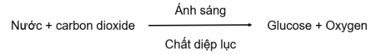 Ảnh có chứa văn bản, Phông chữ, màu trắng, ảnh chụp màn hình

Mô tả được tạo tự động