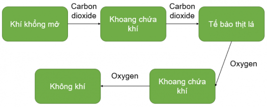 Ảnh có chứa văn bản, ảnh chụp màn hình, Phông chữ, hàng

Mô tả được tạo tự động