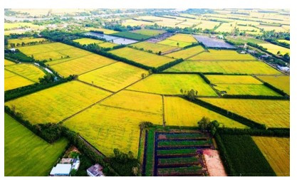 Sưu tầm hình ảnh về các dạng địa hình đồi (ảnh 1)
