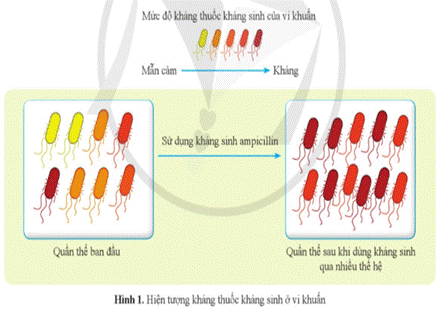 A diagram of a virus  Description automatically generated