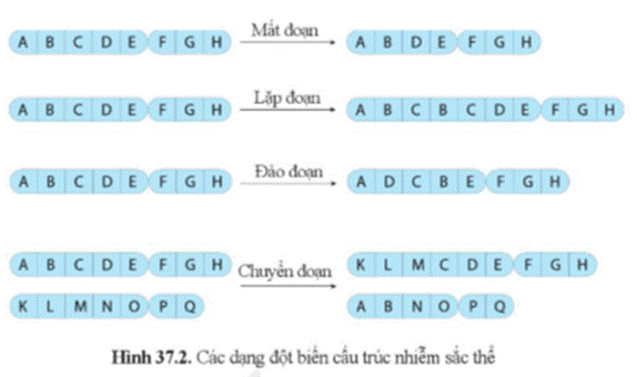 A table of text with letters and numbers  Description automatically generated