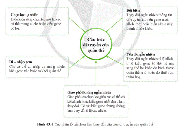 A diagram of a diagram  Description automatically generated with medium confidence