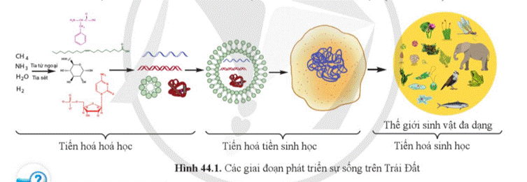 A diagram of a cell  Description automatically generated